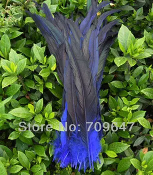 Синее перо! 50 шт./лот, окрашенные в Королевский синий цвет петушиные хвосты, свободные перья от 12 до 14 дюймов, свободные петушиные хвосты,